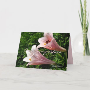 Carte Sympathie - Pk Trumpet Lily- personnaliser toute o