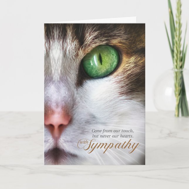 Carte Sympathie pour animal de compagnie de chat Tabulat (Devant)