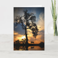 Sympathie pour cheval arbre de chêne et eau