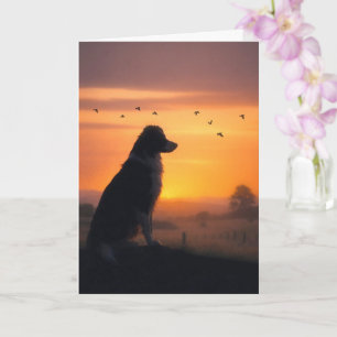 Carte Sympathie pour chien Border Collie au coucher de s