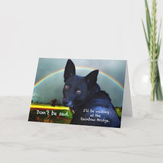 Carte Sympathie pour la perte de l'animal