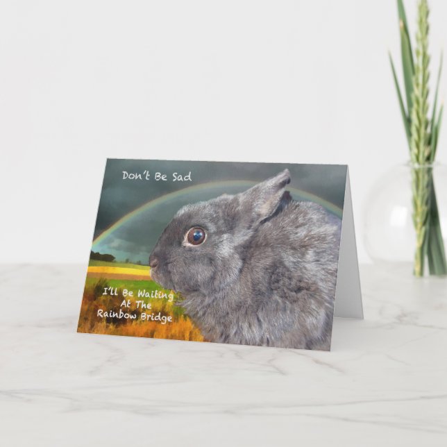 Carte Sympathie pour la perte de lapin animal (Devant)