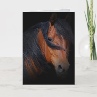 Carte Sympathie pour la perte du cheval