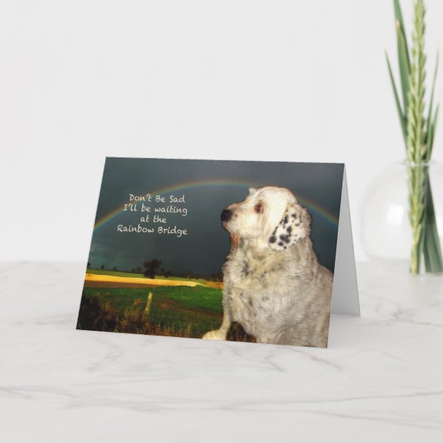 Carte Sympathie pour la perte du chien de compagnie (Devant)