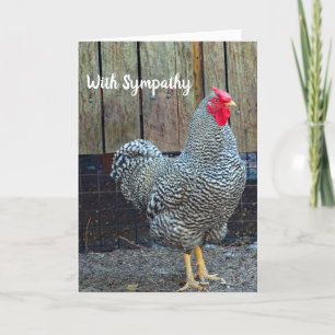 Carte Sympathie pour la photo du coq noir et blanc de po