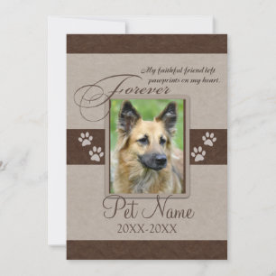 Carte Sympathie pour toujours aimée d'animal familier