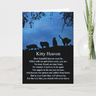 Carte Sympathie spirituelle du chat
