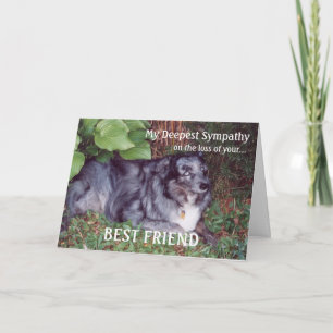 Carte Sympathie sur la perte de chien-animal/avec poème
