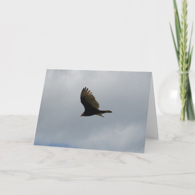 Carte Sympathique "Spirit Hill Eagle" #2 (Devant)