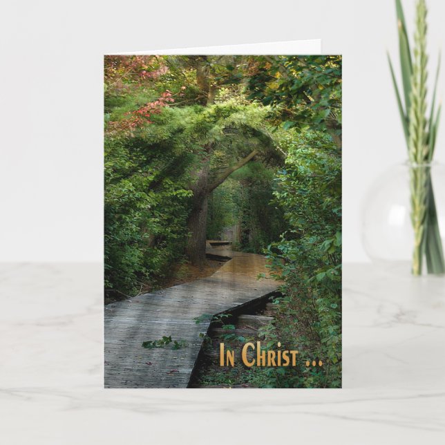 Carte Sympathique Sunbeams In Woods (Devant)