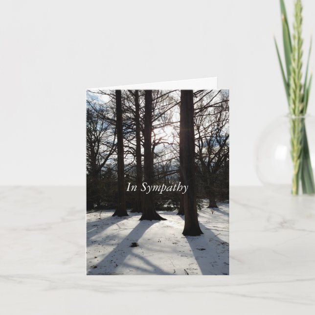 Carte Sympathy arbres d'hiver dans la lumière du s (Devant)