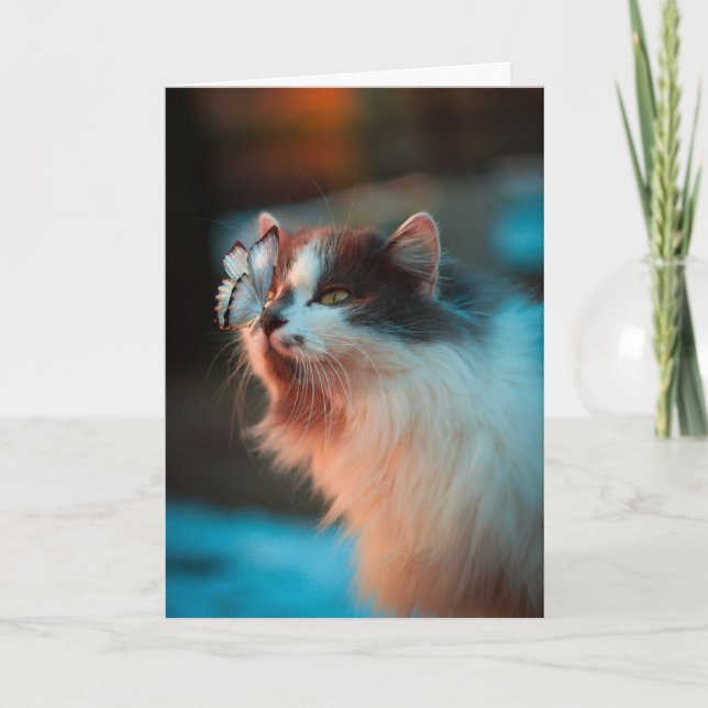 Carte Sympathy Cat (Devant)