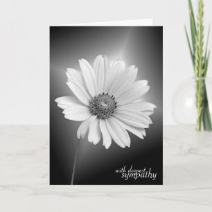 Carte Sympathy White Daisy sur Black