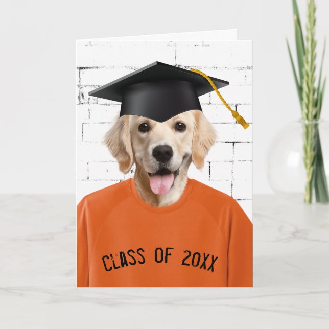 Carte T-shirt orange Golden Retriever (Devant)
