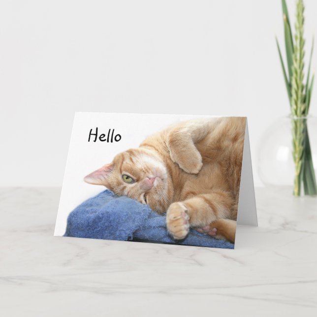 Carte Tabby (Devant)