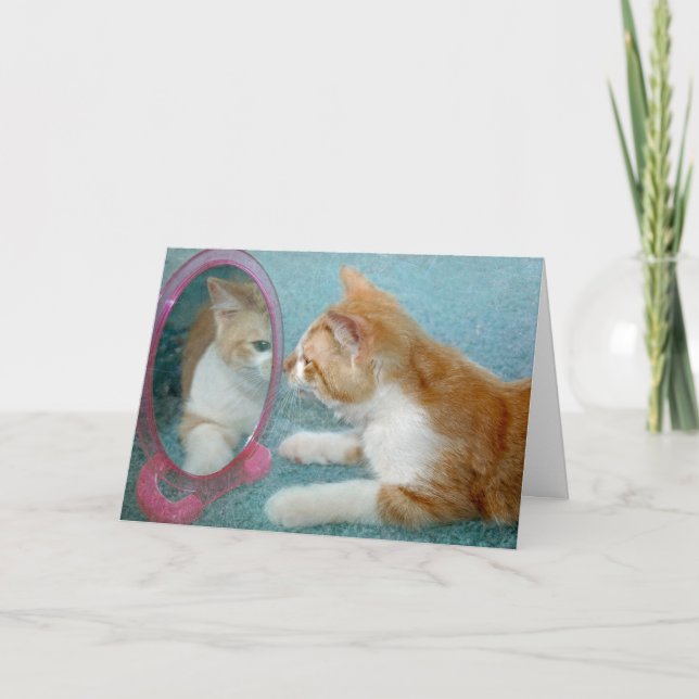 Carte Tabby Cat Anniversaire à la recherche d'un miroir (Devant)