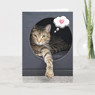 Carte Tabby Cat In Box For Thpense of You
