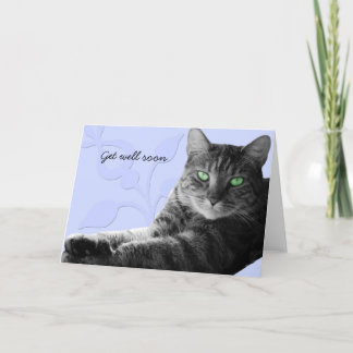 Carte Tabby chat avec pattes croisées, va vite