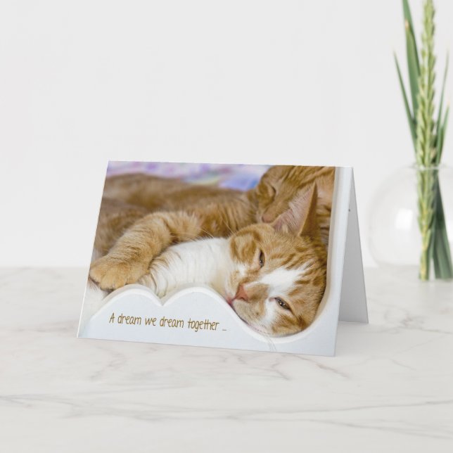 Carte Tabby Chats Anniversaire En Lit (Devant)