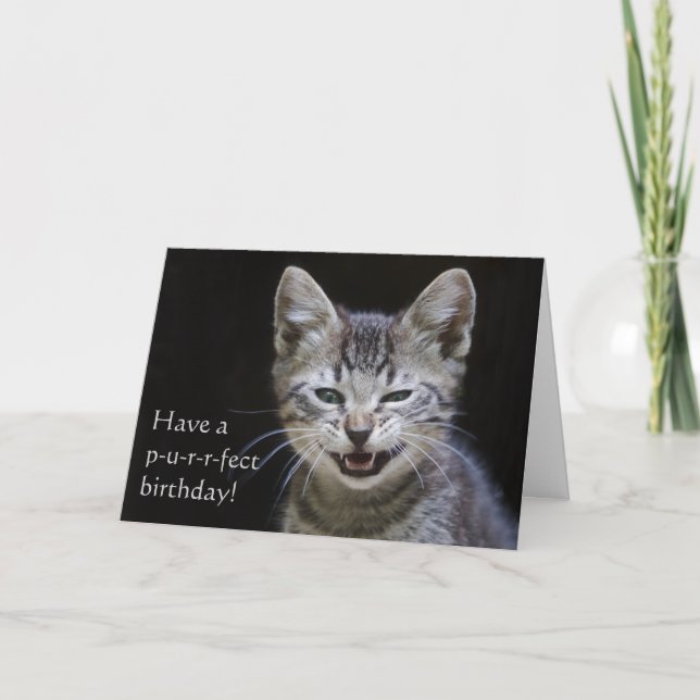 Carte Tabby Kitten Joyeux anniversaire (Devant)