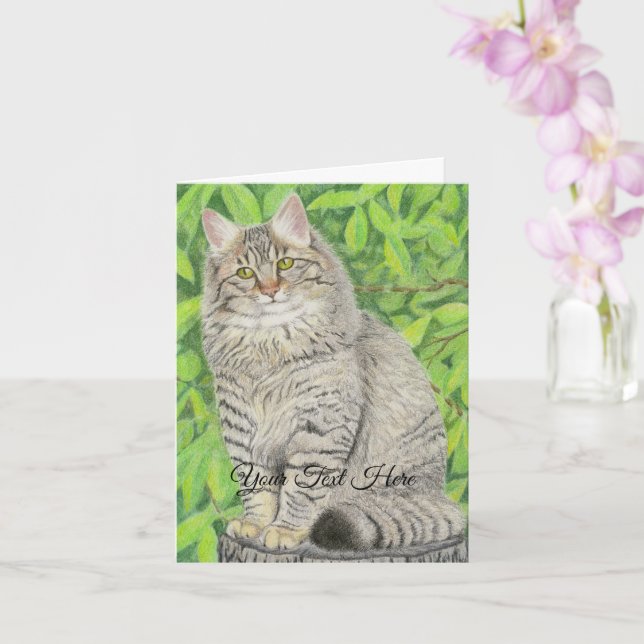 Carte Tabby Longhair (Orchidée)