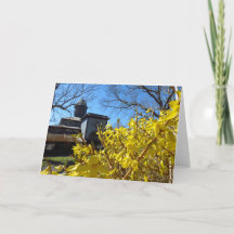 Tabernacle et Forsythia - Martha's Vineyard