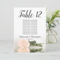 Tableau Mariage Rose Pale Peach Grand Graphique de