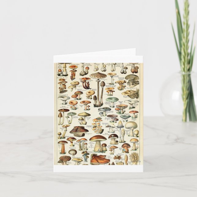 Carte Tableau vintage des champignons comestibles (Devant)