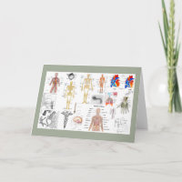 Tableaux médicaux en couleur