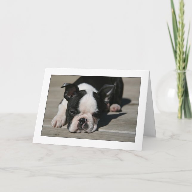 Carte Tacauds de Howie (Devant)