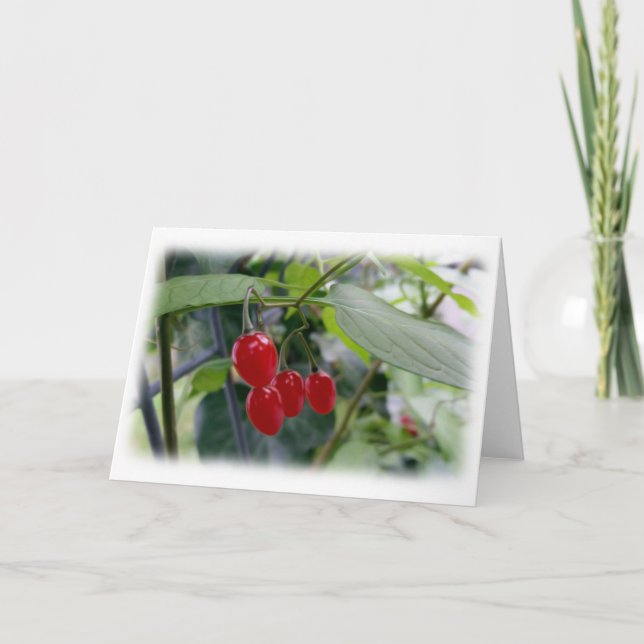 Carte Taches rouges d'automne (Devant)