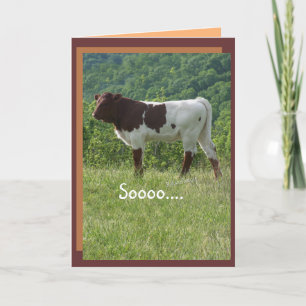 Carte TakaraBday 2 - adaptez n'importe quelle occasion