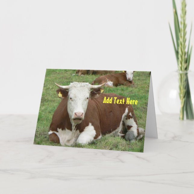 Carte Talking Cow (Devant)