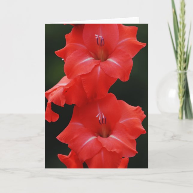 Carte Tall Red Flowers Art Note Card (Devant)