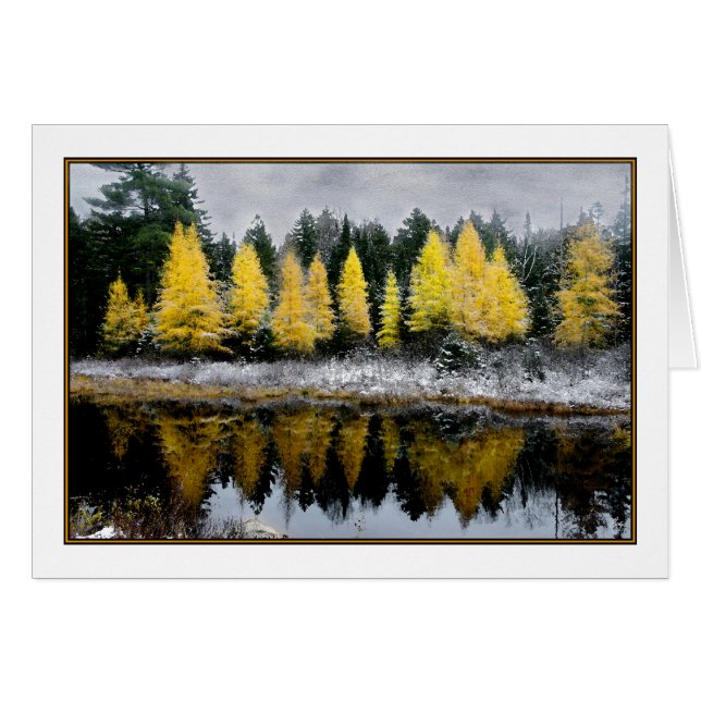 Carte Tamarack Dreams (Devant horizontal)