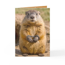 Tamarin fou de la Saint-Valentin menotté