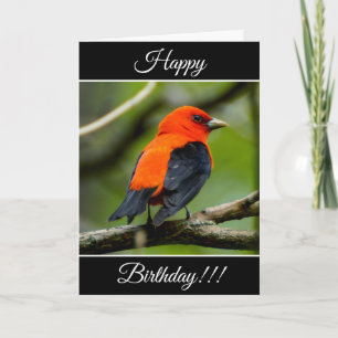 Carte Tanager Scarlet Anniversaire Personnalisée