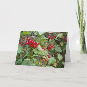 Carte "Tangled Vine"