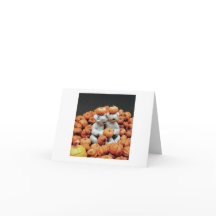 Tas de citrouilles - Souris