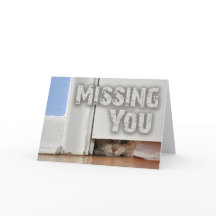 T'as manqué Peeking Kitty