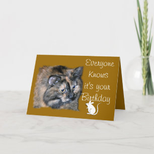 Carte TazTout le monde sait-personnaliser-toute occasion