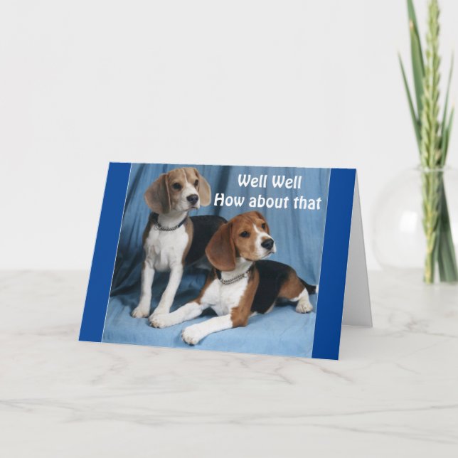 Carte TEASING BEAGLES FOR your **40th BIRTHDAY** (Devant)