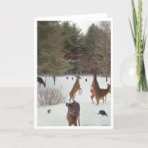 Témoin des beautés de la nature