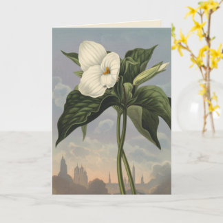 Carte Temple de la Fleur de Trille blanc de style Flora 