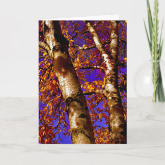 Carte temps, à nouveau