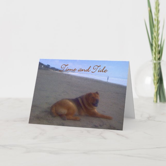 Carte Temps et marée (Devant)