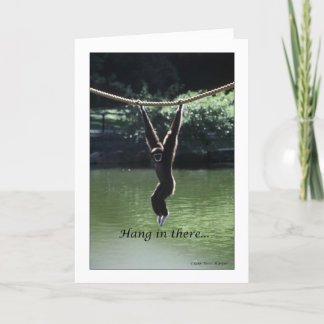 Carte Tenez-Vous Là