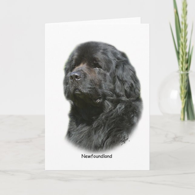 Carte Terre (Devant)