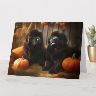Carte Terre-Neuve Chiot Automne Citrouille de plaisir