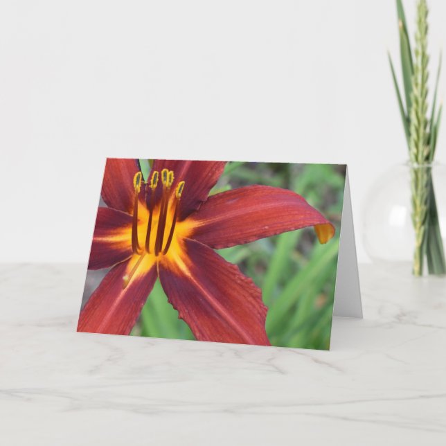 Carte Terre verte (Devant)